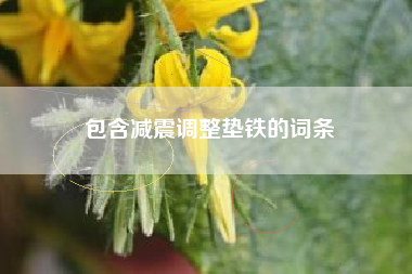 包含減震調(diào)整墊鐵的詞條